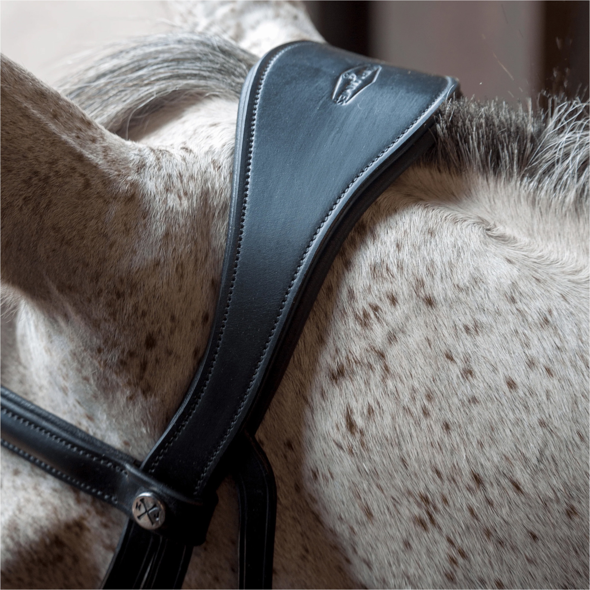 Henry James Saddlery Dressage Bridle HJ-BR-03 - Black